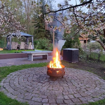 Grosszuegige Ferienwohnung Am Waldesrand Im Seenland Lauta Zewnętrze zdjęcie