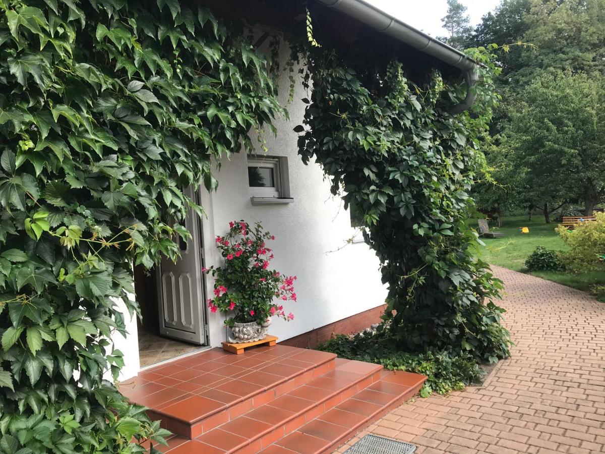 Grosszuegige Ferienwohnung Am Waldesrand Im Seenland Lauta Zewnętrze zdjęcie