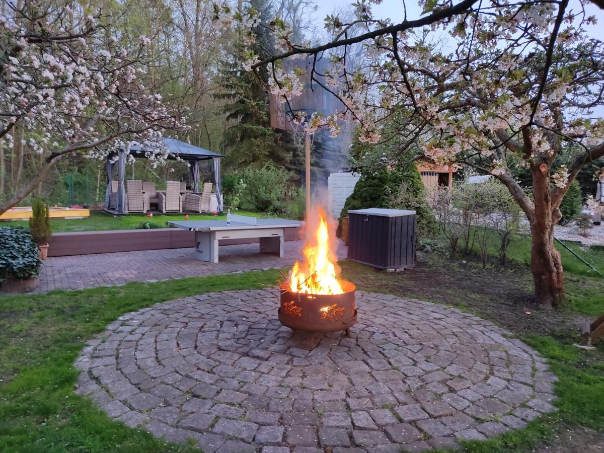 Grosszuegige Ferienwohnung Am Waldesrand Im Seenland Lauta Zewnętrze zdjęcie